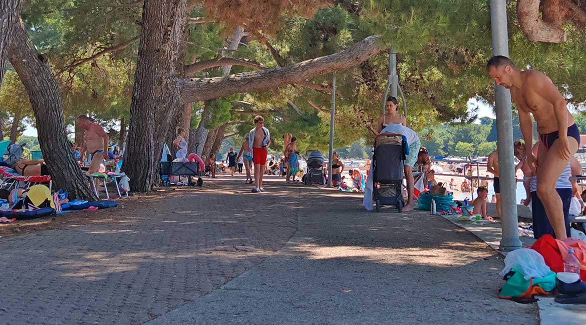 Plaza MUP Valbandon borova suma hladovina
